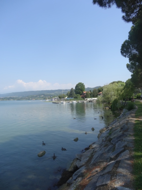 051 - Lago di Viverone